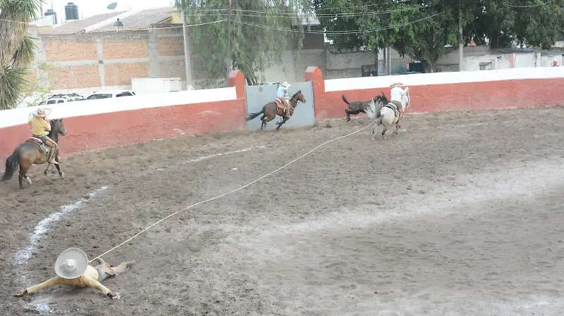 Asi derribó